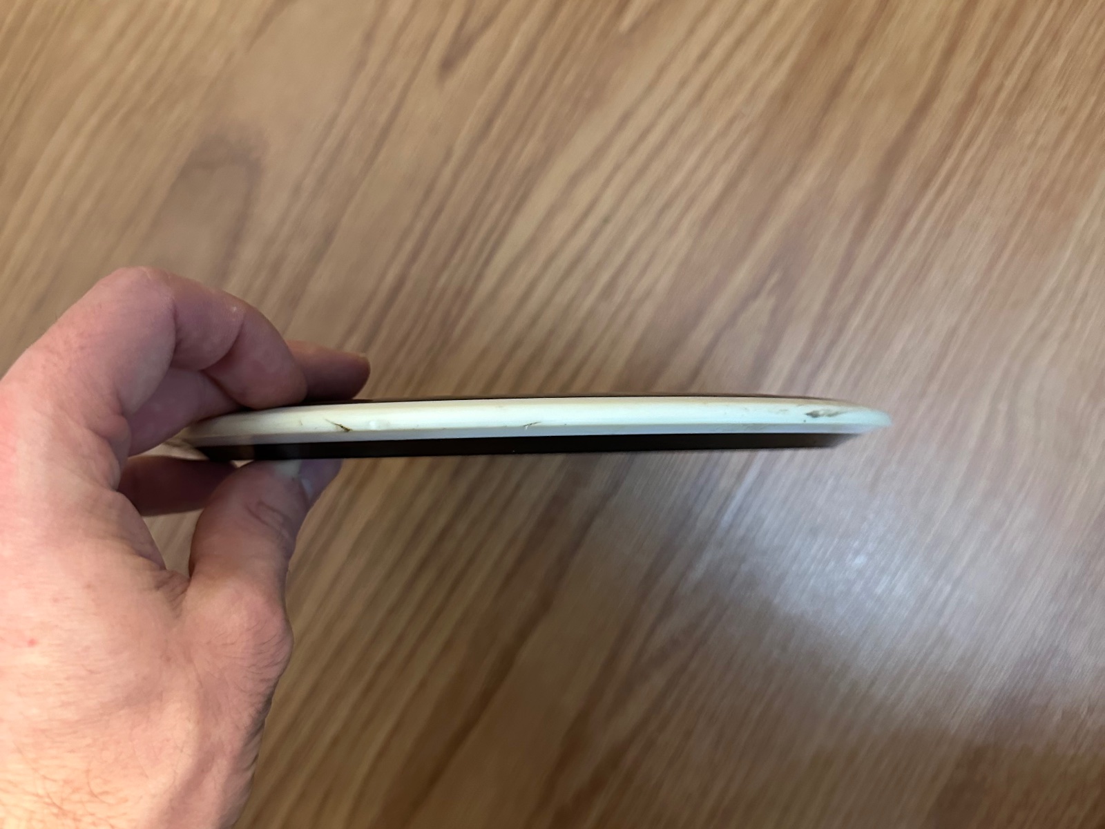 Used Axiom Crave disc for sale in Thunder Bay, photo 3
