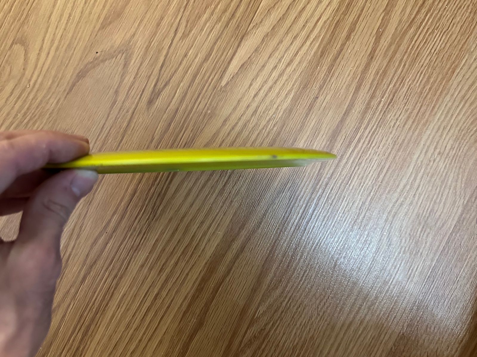 Used Innova Tern disc for sale in Thunder Bay, photo 3